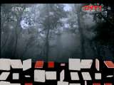 地理中国 《地理中国》 20110807 雨林的秘密