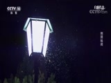 自然传奇 《自然传奇》 20170817 刺猬秘闻