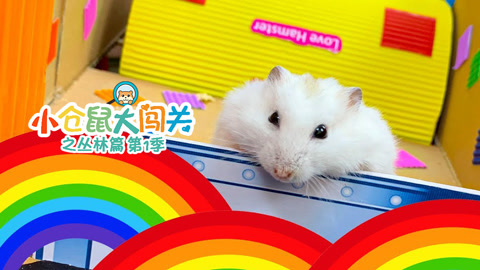 小仓鼠大闯关之丛林篇第1季