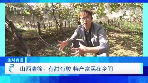 生财有道 《生财有道》 20191106 咱们家乡有特产 山西清徐：有甜有酸 特产富民在乡间