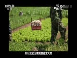 味道 《味道》 20170524 味出于心