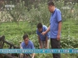 我爱发明 《我爱发明》 20170907 丰收欢乐颂
