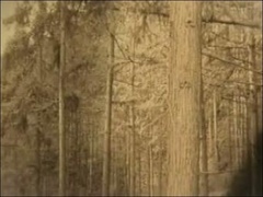 经典传奇 穿越千年的奥秘-千年不坏之躯背后的秘密（上）