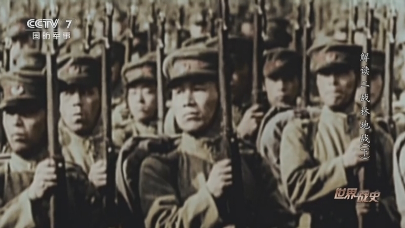 世界战史 《世界战史》 20260512 解读二战林地战（下）