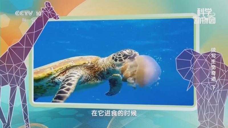 《科学动物园》 20250415 续写生命奇迹（下）