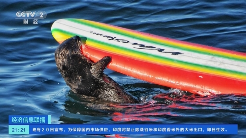 经济信息联播 《经济信息联播》 20230721