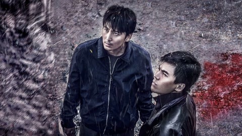 萝莉侃剧 用野狼disco打开《追凶十九年》，易燃易爆炸，场场暴击！