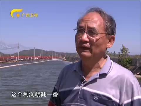 走南闯北广西人 《走南闯北广西人》 20140628 “夫妻主席”的八桂情