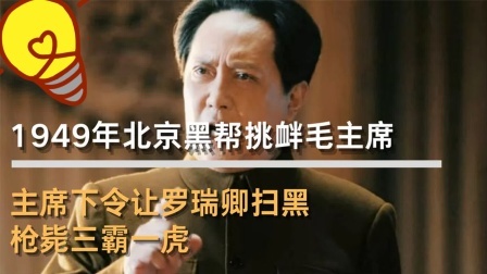 红墙往事 北京黑帮挑衅毛主席，主席下令罗瑞卿扫黑：枪毙三霸一虎