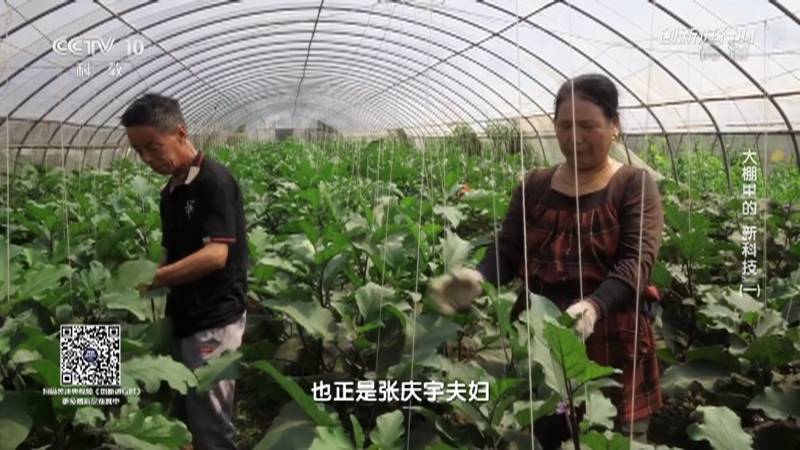 《创新进行时》 20210513 大棚里的“新科技”（一）