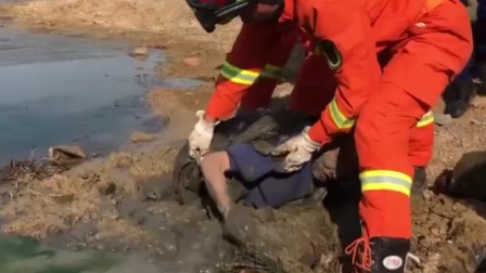7旬老人不慎陷入泥潭 消防员徒手刨泥救人
