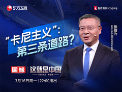 “卡尼主义”第三条道路？