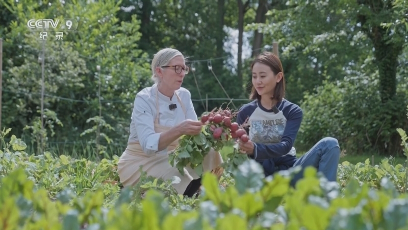 《从农场到餐桌 中法季》 第4集 果蔬