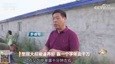 致富经 [致富经]憋屈大叔被逼养虾 靠一个字年卖千万 20180918
