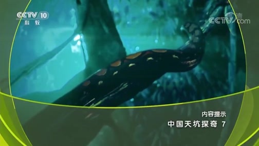 地理中国 《地理中国》 20190704 中国天坑探奇 7