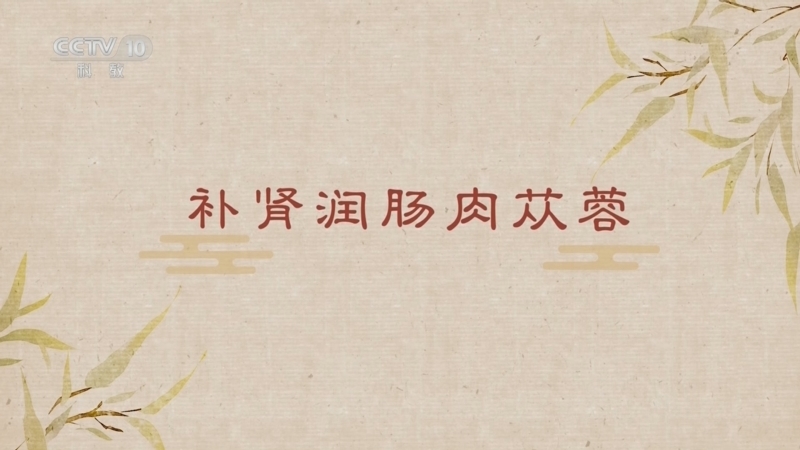 《百家讲坛》 20260208 舌尖上的养生（第三部） 19 补肾润肠肉苁蓉