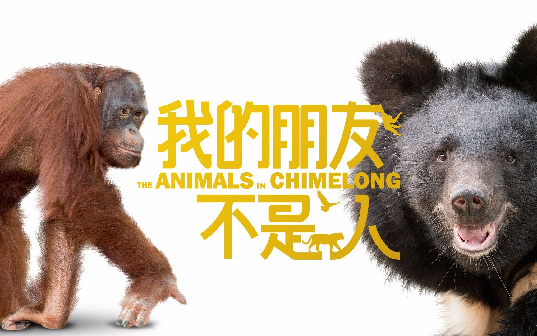 理想中的动物园