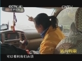 远方的家 《远方的家》 20140831 边疆行（53） 品读高原两极之美