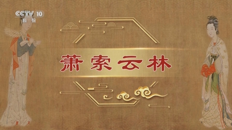 百家讲坛 《百家讲坛》 20240112 中国传世名画（第二部） 6 萧索云林