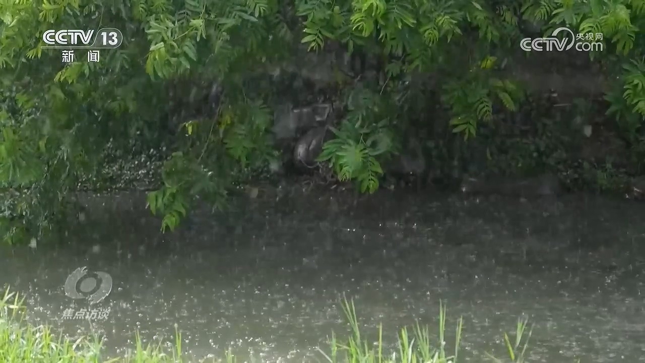 焦点访谈 《焦点访谈》 20260810 同风雨 共担当