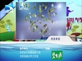 大王小王 《大王小王》 20150604 我们的六·一（下）