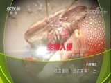 地理中国 《地理中国》 20170928 稻田里的“远古来客”（上）