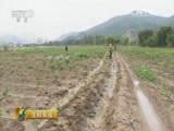 生财有道 《生财有道》 20160512 围屋老手艺 焕发新商机