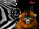 动物世界 《动物世界》 20111005