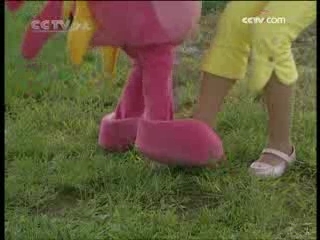智慧树 智慧树 2008年 第315期