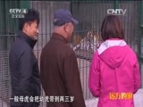 远方的家 《远方的家》特别节目《再见江河》松花江 黑土地上的米粮川 20150625