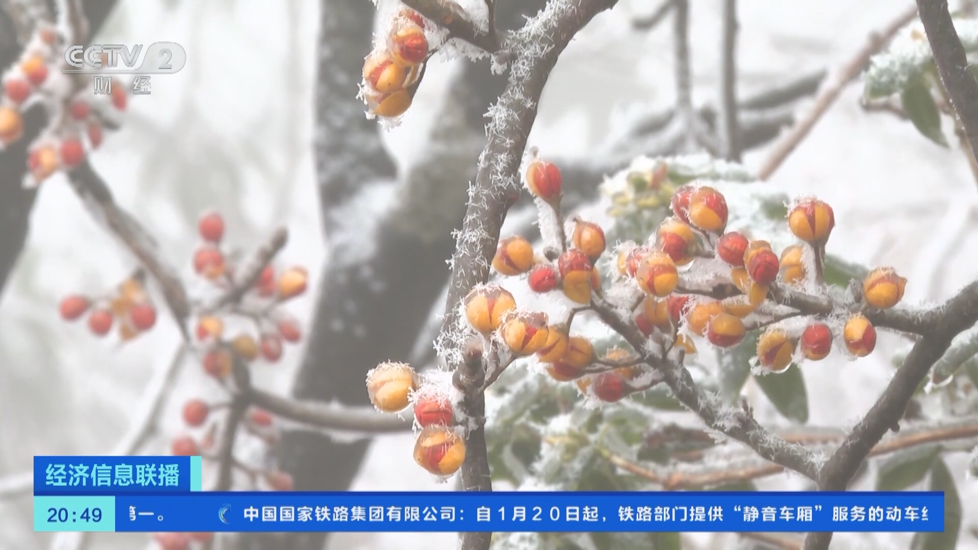 经济信息联播 《经济信息联播》 20240121