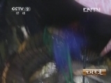 生财有道 《生财有道》 20131029 尤信铃海中炼真“金”