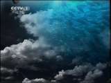 人与自然 [人与自然] 雷克特狮群（下）20110701