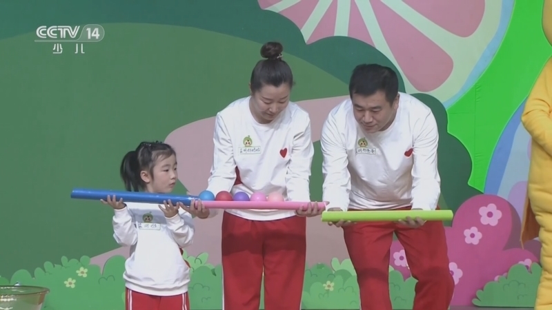 小小智慧树 《小小智慧树》 20230116