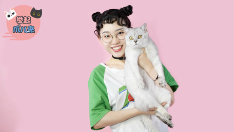 举起爪儿来 四种正确的抱猫姿势