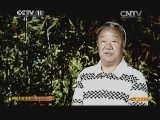 CCTV空中剧院 《CCTV空中剧院》 20140614 京剧《响马传》（访谈）