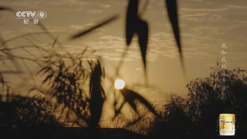 《我和我的故乡》 第3集