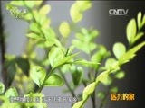 远方的家 《远方的家》特别节目《再见江河》珠江 南国母亲河 20150702