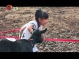 百姓故事汇 《百姓故事汇》 20150921 亲子动物夏令营