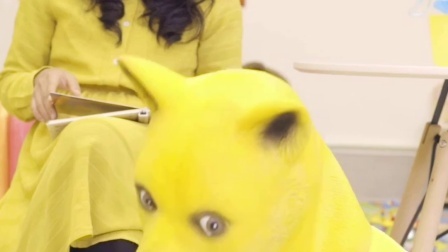 原来怀孕也能养狗 学会这4招在孕期科学养狗 06