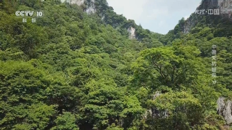 地理中国 《地理·中国》 20240807 中国天坑奇观17