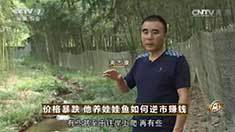 致富经 [致富经]价格暴跌 他养娃娃鱼如何逆市赚钱 20160818