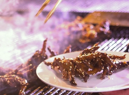 觅食迹 她捍卫了这片江湖25年