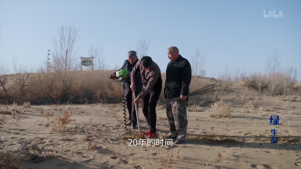 沙漠整治，绿进沙退的中国奇迹