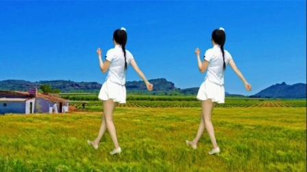 广场舞《伴君谣》跟着背面跟我练，几分钟学会