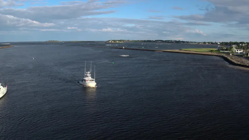 《鲨鱼宝宝成长记》第1集