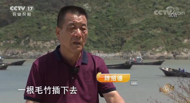 致富经 《致富经》 20190919 海上“垦荒”记