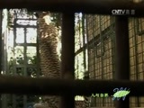 人与自然 《人与自然》 20151219 猎豹托奇传奇（下）