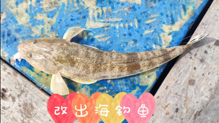 南澳岛赶海日记 彪哥出海钓鱼，没想到上次1条1块5的黄丁斑鱼苗长大了，而且价格还不错
