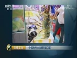 消费主张 《消费主张》 20170817 中国夜市全攻略（海口篇）